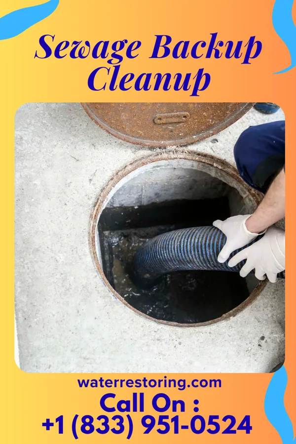 Sewage Backup Cleanup in Wrightsville, GA